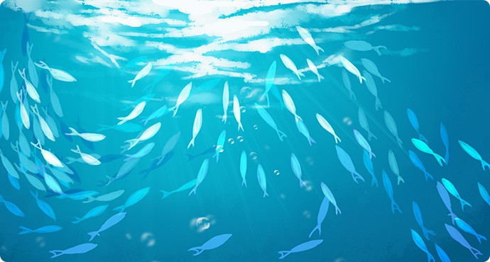 ������ʱ�������ǲ������й����ٷ���վ