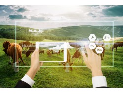 ������ʱ�������ǲ������й����ٷ���վ