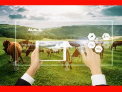 ������ʱ�������ǲ������й����ٷ���վ