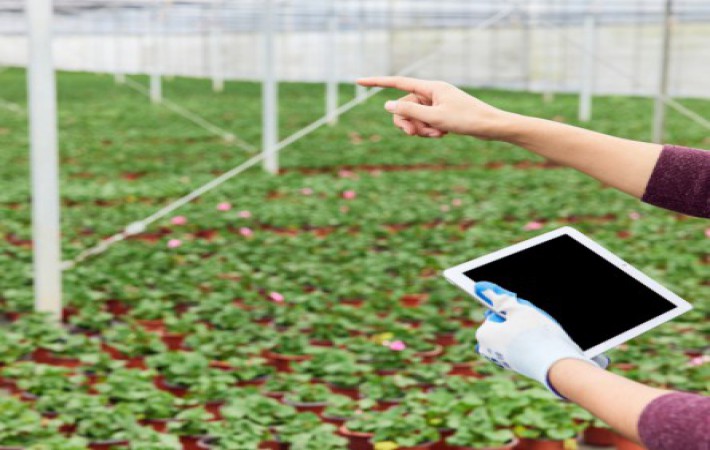 ������ʱ�������ǲ������й����ٷ���վ